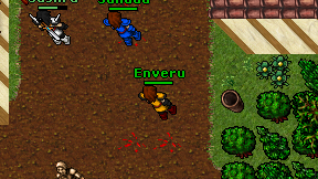 Enveru on screen