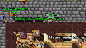 Sanctuarious Spellcaster on screen