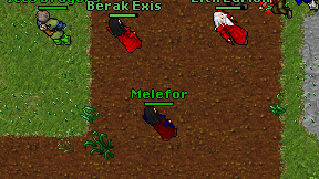 Melefor on screen