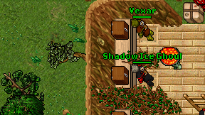 Avuxill on screen