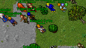 Knight Cyto on screen