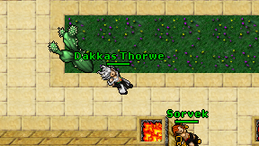 Dakkas Thorwe on screen