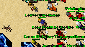 Leafar Bloodmage on screen