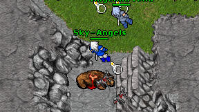 Sky-Angels on screen
