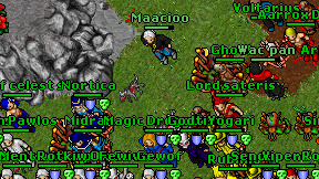 Maacioo on screen