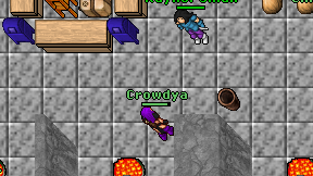 Crowdya on screen
