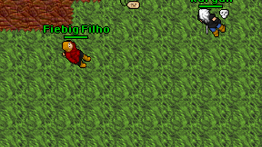 Fiebig Filho on screen