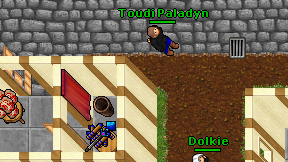Toudi Paladyn on screen