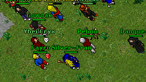 Peloin on screen