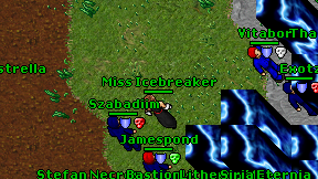 Miss Icebreaker on screen