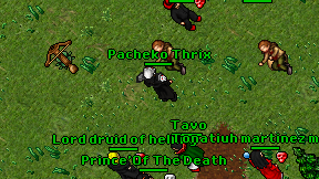 Pacheko Thrix on screen