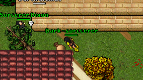 Dark-sorccerer on screen