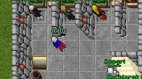 Galic on screen