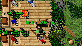 Binipi on screen