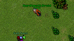Hardtmuth Druid on screen