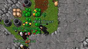 Riki Tiger on screen