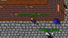 Serious Detoxicator on screen
