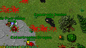 Camarada Junior on screen