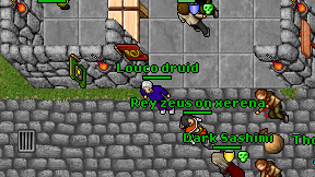 Louco druid on screen
