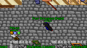Fer Dragon Duid on screen