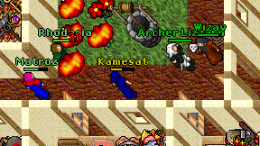 Kamesat on screen