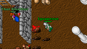 Iguapense on screen