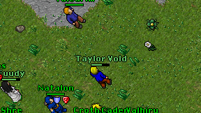 Taylor Vold on screen
