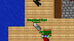 Hogtied Rat on screen