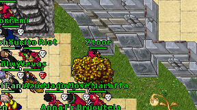 Ztoor on screen