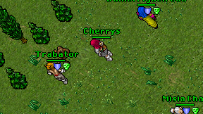 Cherrys on screen