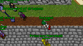 Insagui on screen