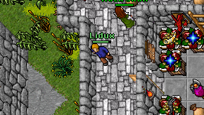 Lidux on screen