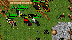 Kiiniaa on screen
