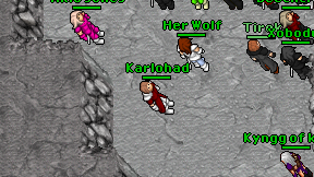 Karlohad on screen