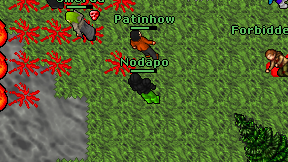 Nodapo on screen