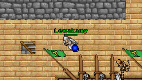 Lewakamy on screen