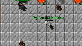 Dynamik Hamster on screen