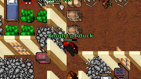 Knight of duck on screen