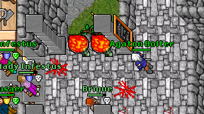 Agaton Bolter on screen
