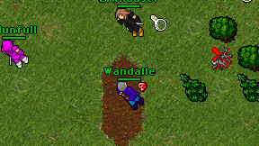 Wandalle on screen