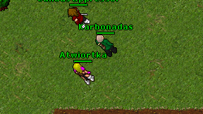 Atwiortka on screen