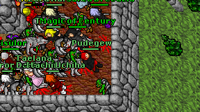 Pudegew on screen