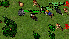 Phad Sparose on screen