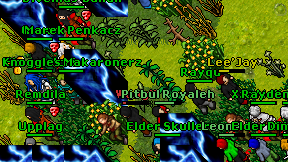 Rayqu on screen