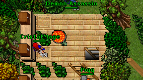 Demon'Assassin on screen
