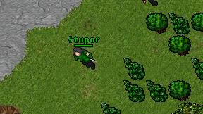 Stupor on screen