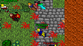 Flenze on screen