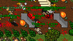 Fenash on screen