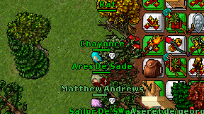 Chayonce on screen