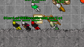 Elver'Druid on screen